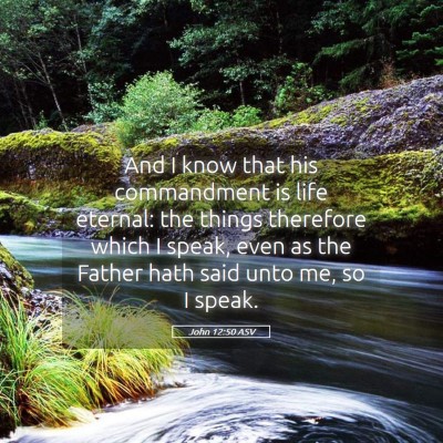Picture 05 - John 12:50 ASV - And I know that his commandment is life eternal: - Bible Verse Picture