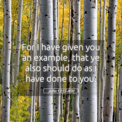 Picture 05 - John 13:15 ASV - For I have given you an example, that ye also - Bible Verse Picture