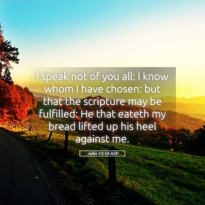 Picture 05 - John 13:18 ASV - I speak not of you all: I know whom I have - Bible Verse Picture