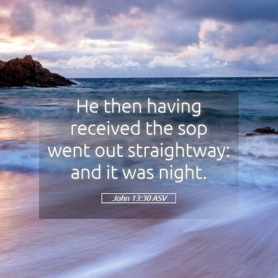 Picture 05 - John 13:30 ASV - He then having received the sop went out - Bible Verse Picture