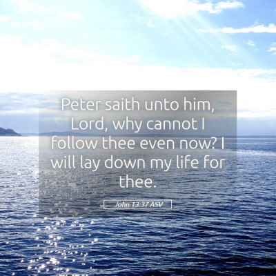 Picture 05 - John 13:37 ASV - Peter saith unto him, Lord, why cannot I follow - Bible Verse Picture