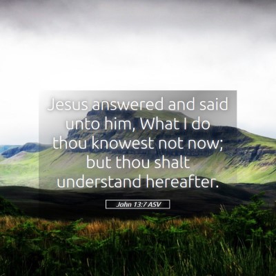 Picture 05 - John 13:7 ASV - Jesus answered and said unto him, What I do thou - Bible Verse Picture