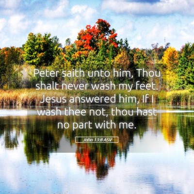 Picture 05 - John 13:8 ASV - Peter saith unto him, Thou shalt never wash my - Bible Verse Picture