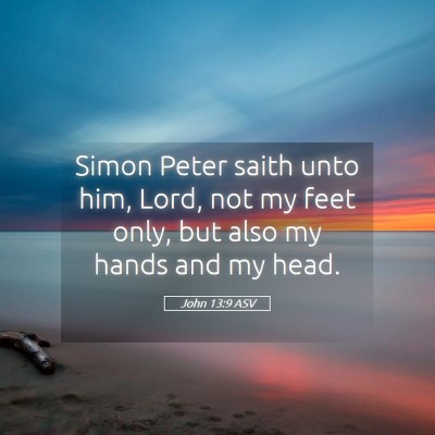 Picture 05 - John 13:9 ASV - Simon Peter saith unto him, Lord, not my feet - Bible Verse Picture