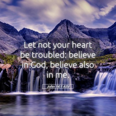Picture 05 - John 14:1 ASV - Let not your heart be troubled: believe in God, - Bible Verse Picture