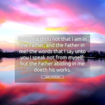 Picture 05 - John 14:10 ASV - Believest thou not that I am in the Father, and - Bible Verse Picture
