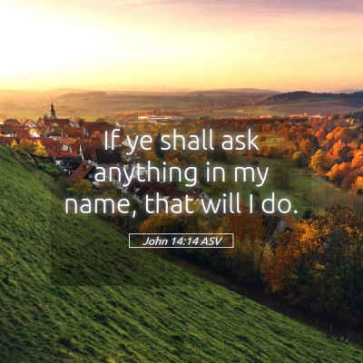 Picture 05 - John 14:14 ASV - If ye shall ask anything in my name, that will I - Bible Verse Picture