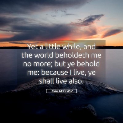 Picture 05 - John 14:19 ASV - Yet a little while, and the world beholdeth me no - Bible Verse Picture