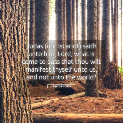 Picture 05 - John 14:22 ASV - Judas (not Iscariot) saith unto him, Lord, what - Bible Verse Picture