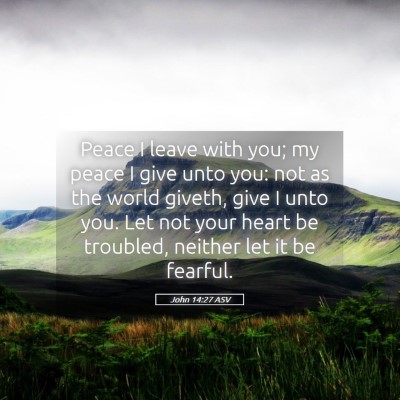 Picture 05 - John 14:27 ASV - Peace I leave with you; my peace I give unto you: - Bible Verse Picture