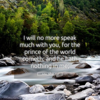 Picture 05 - John 14:30 ASV - I will no more speak much with you, for the - Bible Verse Picture