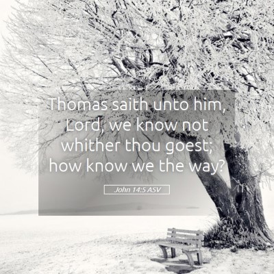 Picture 05 - John 14:5 ASV - Thomas saith unto him, Lord, we know not whither - Bible Verse Picture