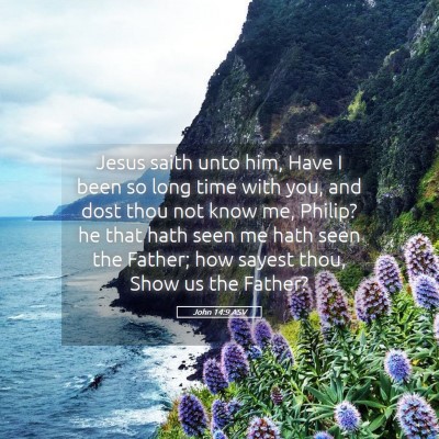 Picture 05 - John 14:9 ASV - Jesus saith unto him, Have I been so long time - Bible Verse Picture
