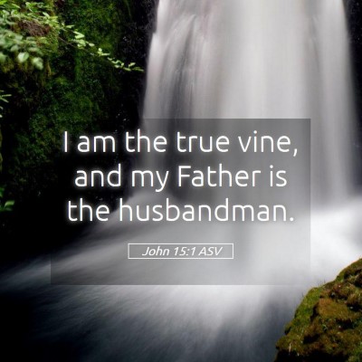 Picture 05 - John 15:1 ASV - I am the true vine, and my Father is the - Bible Verse Picture