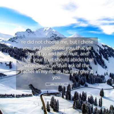 Picture 05 - John 15:16 ASV - Ye did not choose me, but I chose you, and - Bible Verse Picture