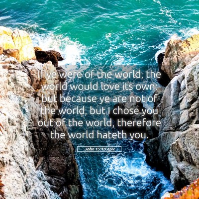Picture 05 - John 15:19 ASV - If ye were of the world, the world would love its - Bible Verse Picture