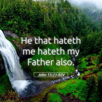 Picture 05 - John 15:23 ASV - He that hateth me hateth my Father - Bible Verse Picture