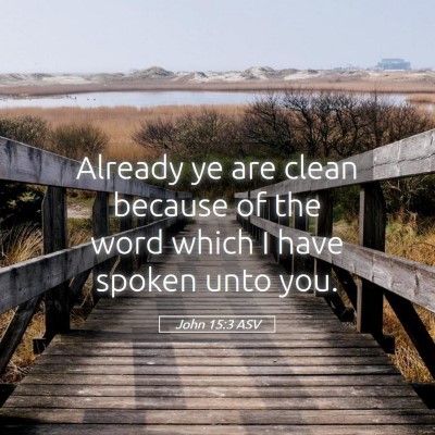 Picture 05 - John 15:3 ASV - Already ye are clean because of the word which I - Bible Verse Picture