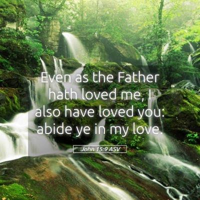 Picture 05 - John 15:9 ASV - Even as the Father hath loved me, I also have - Bible Verse Picture