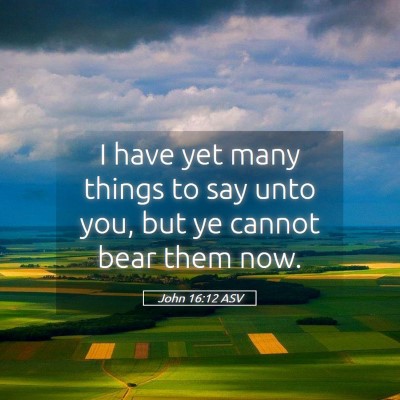 Picture 05 - John 16:12 ASV - I have yet many things to say unto you, but ye - Bible Verse Picture