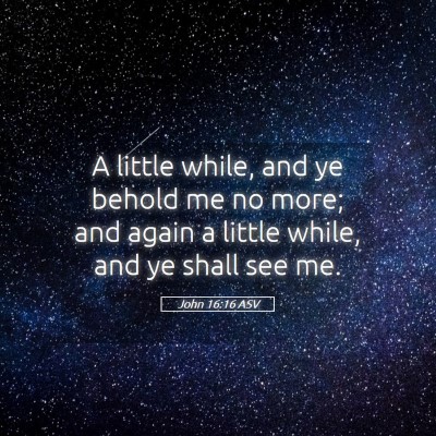 Picture 05 - John 16:16 ASV - A little while, and ye behold me no more; and - Bible Verse Picture