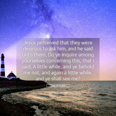 Picture 05 - John 16:19 ASV - Jesus perceived that they were desirous to ask - Bible Verse Picture
