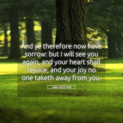 Picture 05 - John 16:22 ASV - And ye therefore now have sorrow: but I will see - Bible Verse Picture