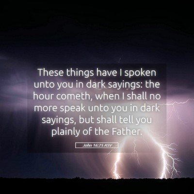 Picture 05 - John 16:25 ASV - These things have I spoken unto you in dark - Bible Verse Picture