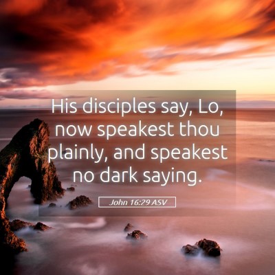 Picture 05 - John 16:29 ASV - His disciples say, Lo, now speakest thou plainly, - Bible Verse Picture