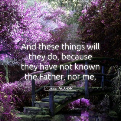Picture 05 - John 16:3 ASV - And these things will they do, because they have - Bible Verse Picture