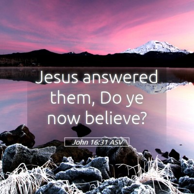 Picture 05 - John 16:31 ASV - Jesus answered them, Do ye now - Bible Verse Picture