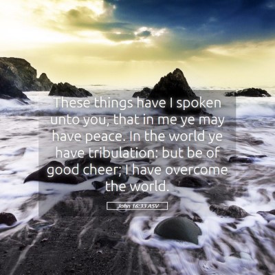 Picture 05 - John 16:33 ASV - These things have I spoken unto you, that in me - Bible Verse Picture
