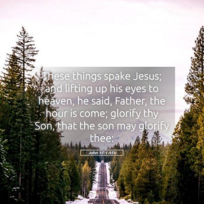 Picture 05 - John 17:1 ASV - These things spake Jesus; and lifting up his eyes - Bible Verse Picture