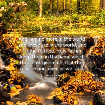 Picture 05 - John 17:11 ASV - And I am no more in the world, and these are in - Bible Verse Picture