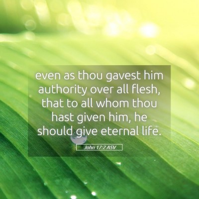 Picture 05 - John 17:2 ASV - even as thou gavest him authority over all flesh, - Bible Verse Picture