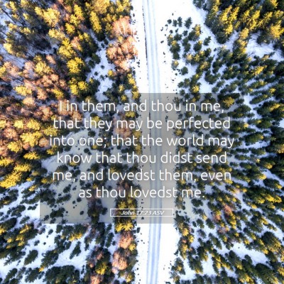 Picture 05 - John 17:23 ASV - I in them, and thou in me, that they may be - Bible Verse Picture