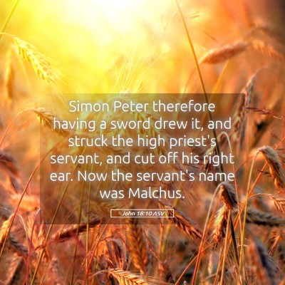 Picture 05 - John 18:10 ASV - Simon Peter therefore having a sword drew it, and - Bible Verse Picture