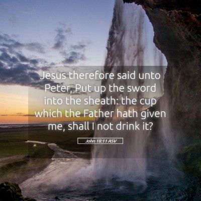 Picture 05 - John 18:11 ASV - Jesus therefore said unto Peter, Put up the sword - Bible Verse Picture