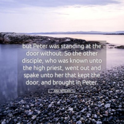 Picture 05 - John 18:16 ASV - but Peter was standing at the door without. So - Bible Verse Picture