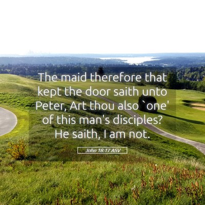 Picture 05 - John 18:17 ASV - The maid therefore that kept the door saith unto - Bible Verse Picture