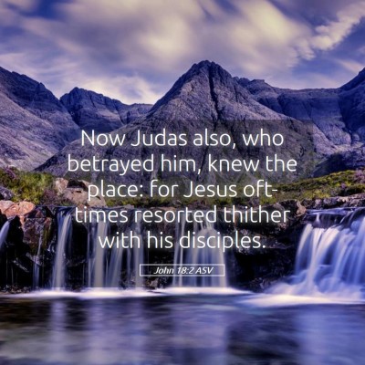 Picture 05 - John 18:2 ASV - Now Judas also, who betrayed him, knew the place: - Bible Verse Picture