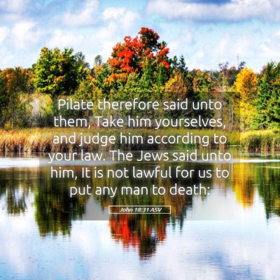 Picture 05 - John 18:31 ASV - Pilate therefore said unto them, Take him - Bible Verse Picture