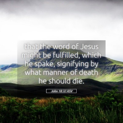 Picture 05 - John 18:32 ASV - that the word of Jesus might be fulfilled, which - Bible Verse Picture