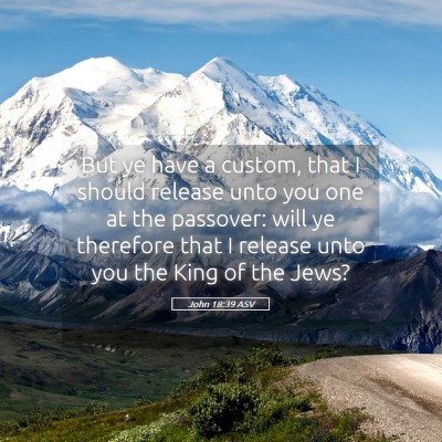 Picture 05 - John 18:39 ASV - But ye have a custom, that I should release unto - Bible Verse Picture