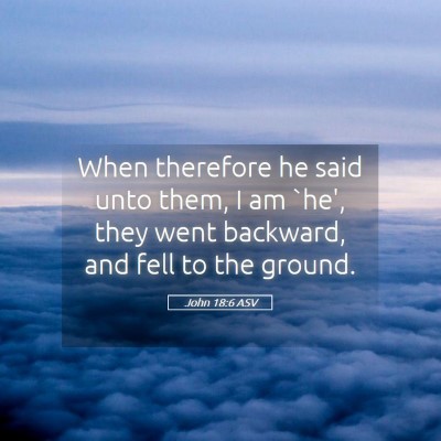 Picture 05 - John 18:6 ASV - When therefore he said unto them, I am `he', they - Bible Verse Picture
