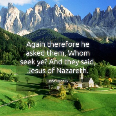 Picture 05 - John 18:7 ASV - Again therefore he asked them, Whom seek ye? And - Bible Verse Picture