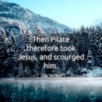 Picture 05 - John 19:1 ASV - Then Pilate therefore took Jesus, and scourged - Bible Verse Picture