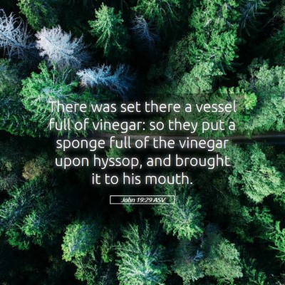Picture 05 - John 19:29 ASV - There was set there a vessel full of vinegar: so - Bible Verse Picture