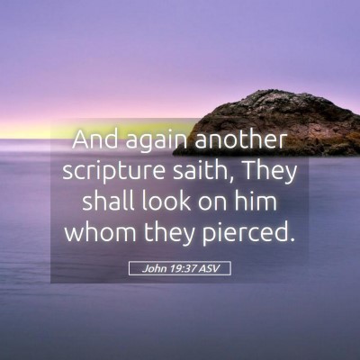 Picture 05 - John 19:37 ASV - And again another scripture saith, They shall - Bible Verse Picture