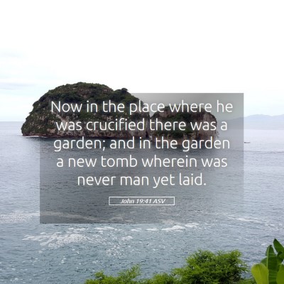 Picture 05 - John 19:41 ASV - Now in the place where he was crucified there was - Bible Verse Picture